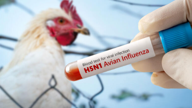 https://salarnews.in/public/uploads/images/newsimages/maannewsimage26042026_014148_CET bird flu.png